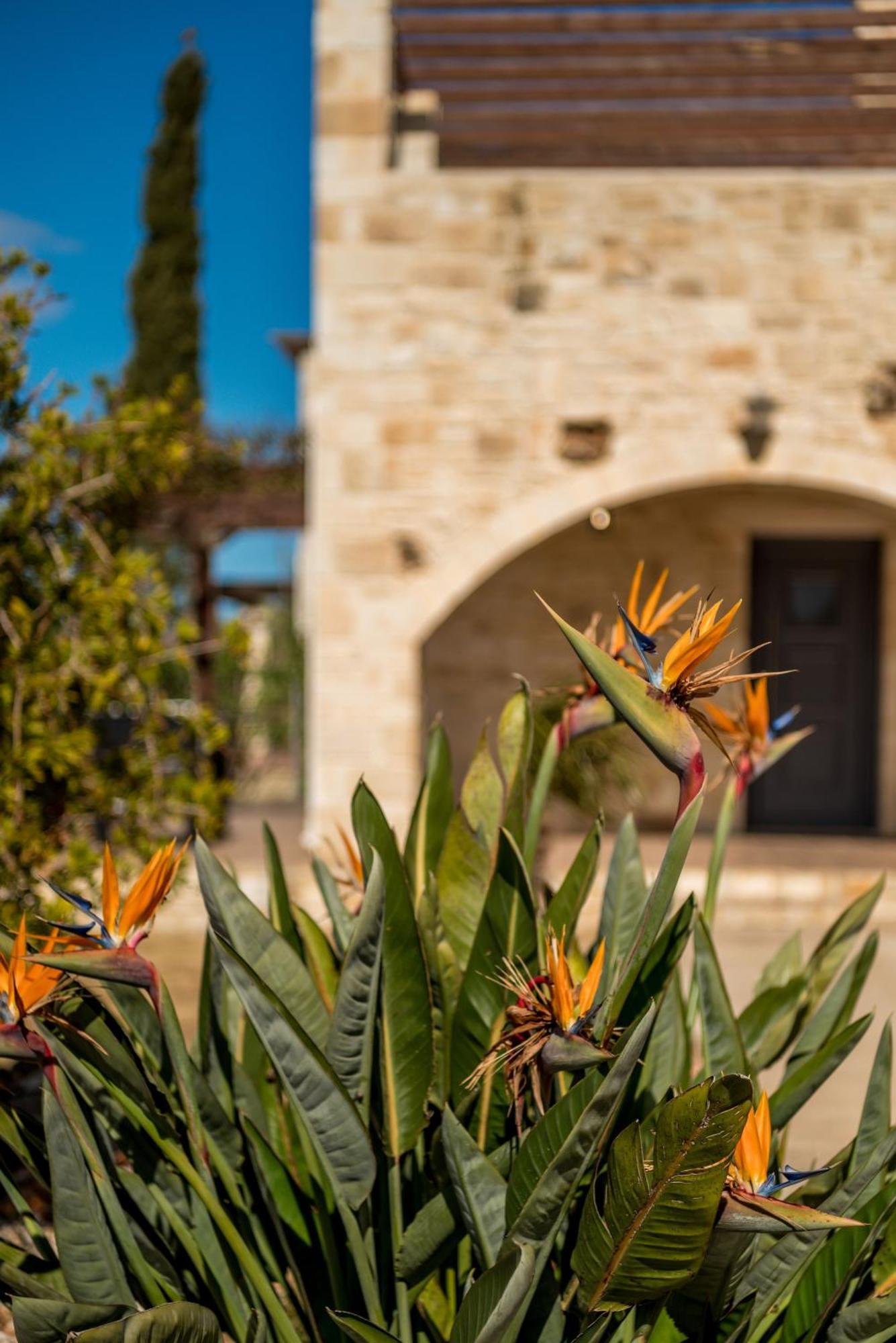 Villa Gloria Seaview - Luxury & Family Kokkino Chorio Ngoại thất bức ảnh